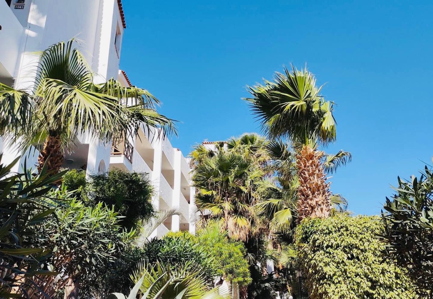 Amarilla Golf Lägenhet San Miguel de Abona Exteriör bild