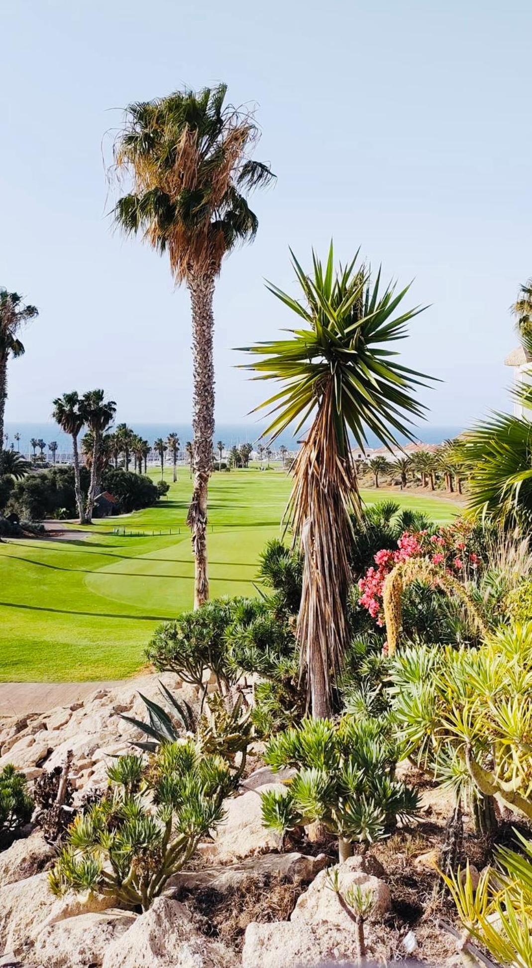 Amarilla Golf Lägenhet San Miguel de Abona Exteriör bild